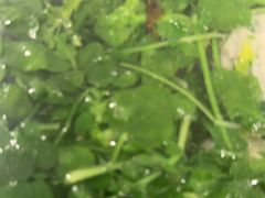 -大鹏饭店·金陵家宴(奥体中心店)