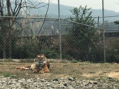 -乐和乐都主题乐园