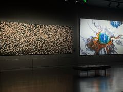 -罗红摄影艺术馆