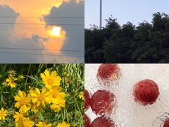 -全优加早教托育园(广百新一城店)