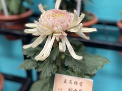 -小榄人家酒楼(民安店)