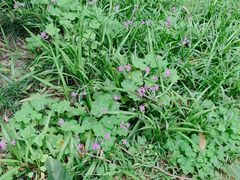 -华南国家植物园-售票处