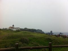-涉地可支