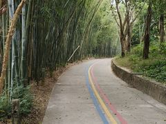 -广东茂名森林公园