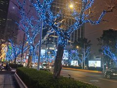 -上海波特曼丽思卡尔顿酒店