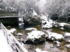 -龙苍沟森林公园
