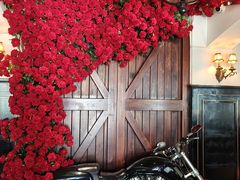 -碧特博格啤酒花园餐厅(芜湖路店)