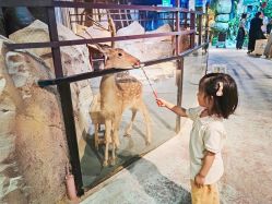 -酷嗒动物文化乐园(cutezoo西溪乐天城店)