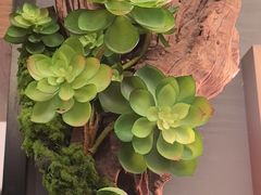 -鑫小城故事·藕汤·家常菜(台北一路总店)