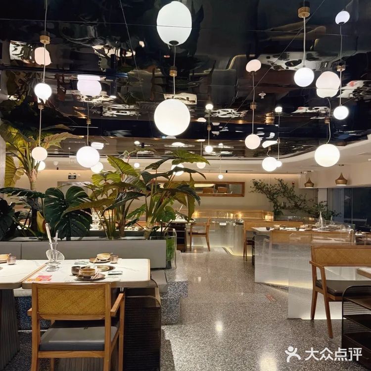 圣诞季约会 艾特饭搭子梧桐树下温暖滋味