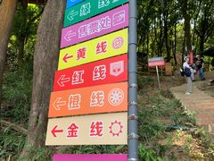 -天鹿湖森林公园
