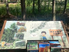 -梁鸿国家湿地公园