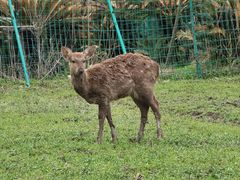 -不觉晓CAMPING(上海迪士尼营地店)