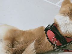 门面-YCHL Studios健身工作室(市二宫店)