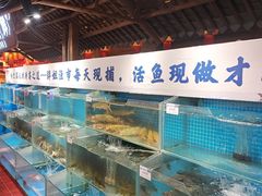 -胖姐渔村(中源大道店)
