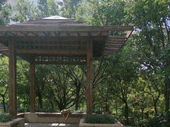 -悦雅居·老广州老味道(长湖店)