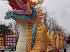 -青龙湖公园