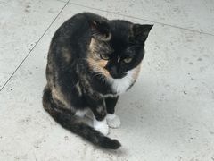 -南小区飘香土豆片(船山区店)