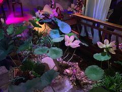 -韵秋荷(宝山龙湖天街店)
