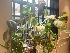 -一尺花园(安和花园店)