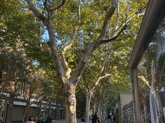 -小团圆糖水铺(襄阳南路店)