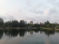 -四海公园(南山区)