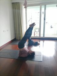 点击看大图 -Yvon yoga 瑜伽·精准体态管理中心