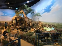 -陕西自然博物馆