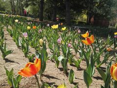 -长春公园(普阳街道)