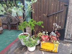 -北马山庄植趣咖啡