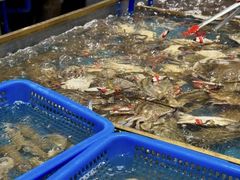 -半岛听涛蒸汽海鲜自助(K11店)