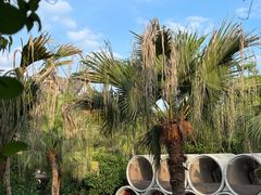 -厦门日月谷温泉渡假村