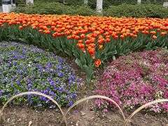 -玄武湖景区-情侣园游乐场