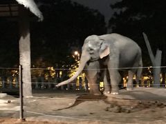 -清迈夜间动物园