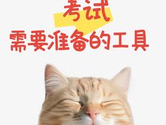 -盖画室·中高考艺考·三校生美术