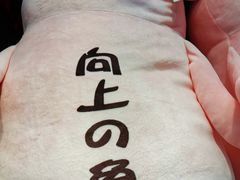 -上海颛桥万达广场