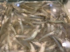 -孙家码头海鲜自助美食城