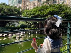 -九龙公园