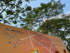 -顺峰山公园