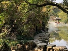 -水绘园