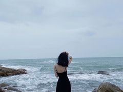 -广东惠东海龟国家级自然保护区