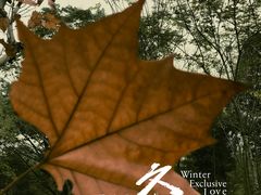 -重庆彩云湖湿地公园