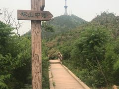 -府君山公园