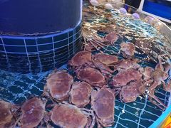 -巧克力渔家.小船海鲜家常菜(三浴场店)