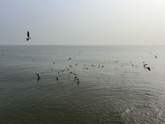 -天津东疆湾沙滩景区