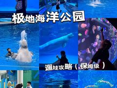 -海合安成都极地海洋公园