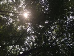 iphone_upload_pic-溱湖国家湿地公园