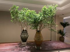 -好望角大饭店(肇嘉浜路店)