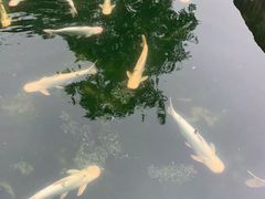 -特种渔场