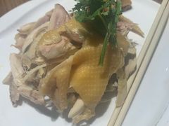 招牌手撕盐焗鸡-金苑酒家·客家菜·广东老字号(万象店)
